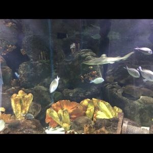 Meet your Posher, Doris